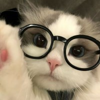tuyet avatar
