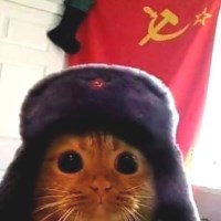 huyphan Avatar
