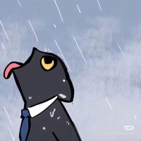doanlen avatar