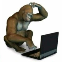 Nguyen Trung Hieu Avatar