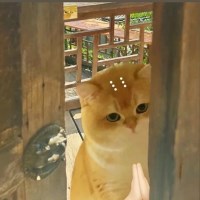thien avatar