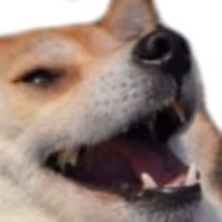 chidotoji chishikato avatar