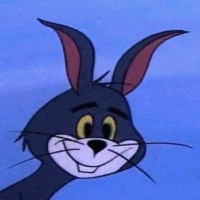 S#T avatar