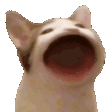 DeanDaen Avatar