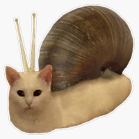 quyma avatar