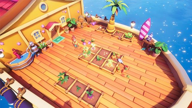 Collector's Cove