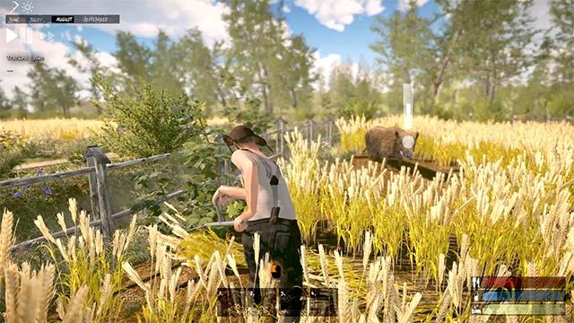 Farmer's Life