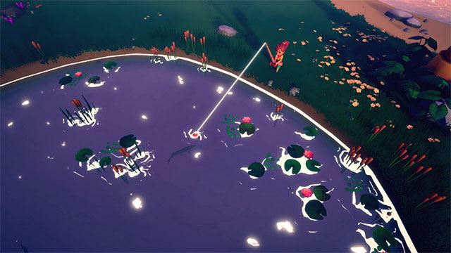 Collector's Cove