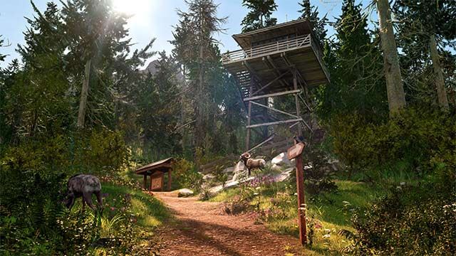 Ranger’s Path: National Park Simulator