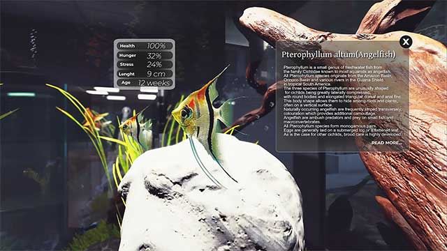 Aquarist Aquarist