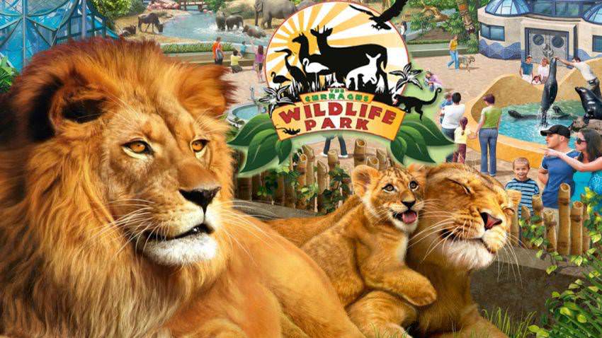 Wildlife Park Collection cover