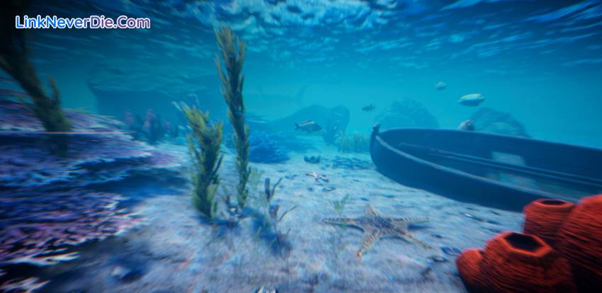 Hình ảnh trong game Project Castaway (screenshot) Hình ảnh trong game Project Castaway (screenshot)