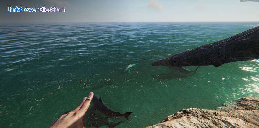 Hình ảnh trong game Project Castaway (screenshot) Hình ảnh trong game Project Castaway (screenshot)