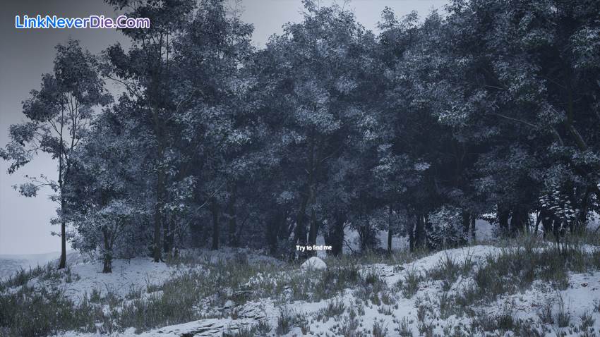 Hình ảnh trong game Stone Simulator – Just Be a Rock (screenshot)