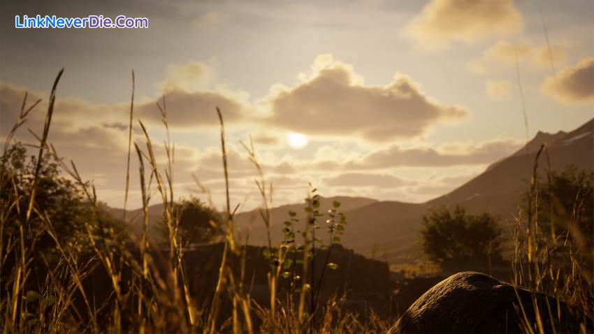 Hình ảnh trong game Stone Simulator – Just Be a Rock (screenshot)