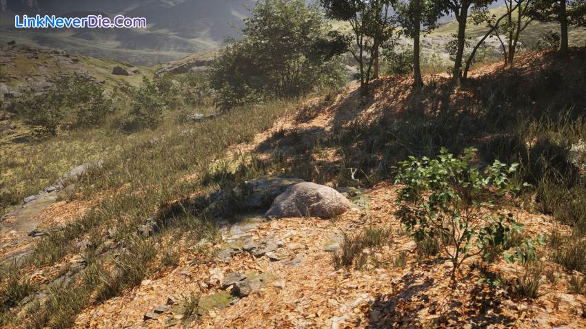 Hình ảnh trong game Stone Simulator – Just Be a Rock (screenshot)