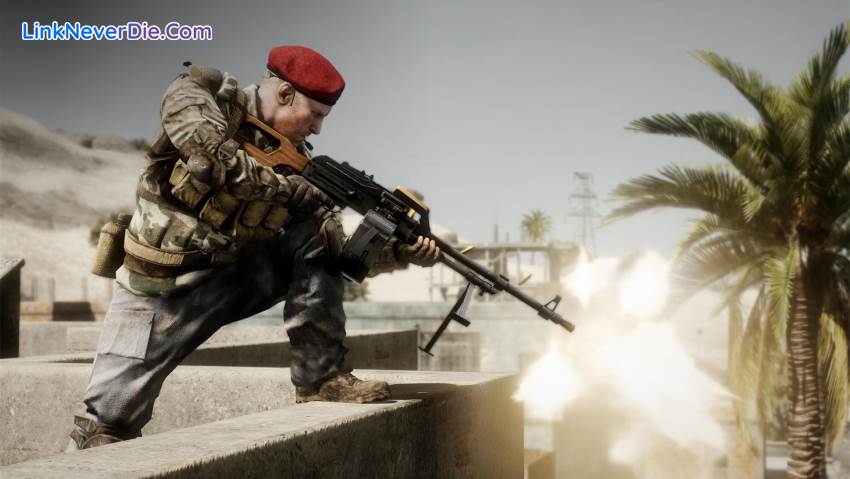 Hình ảnh trong game Battlefield: Bad Company 2 (screenshot)