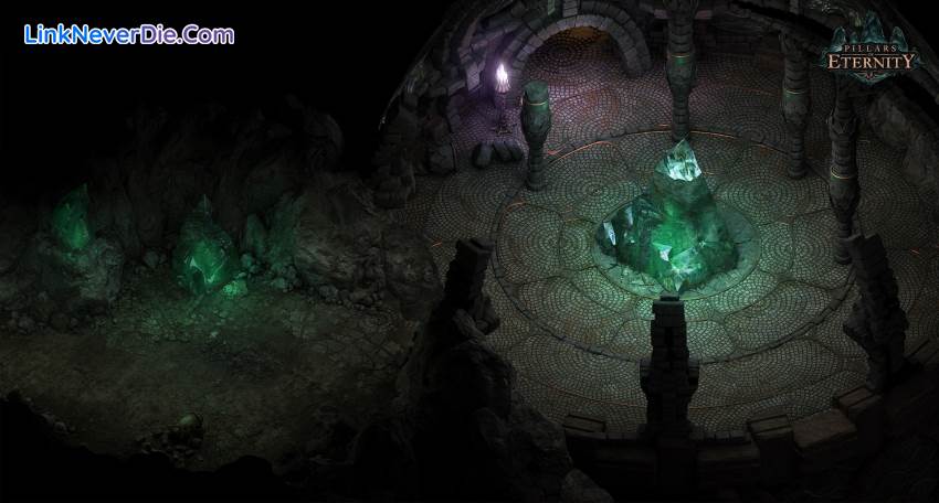 Hình ảnh trong game Pillars of Eternity Royal Edition (screenshot)