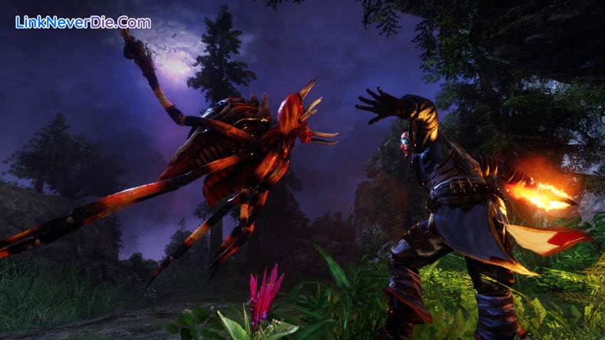 Hình ảnh trong game Risen 3 (screenshot)