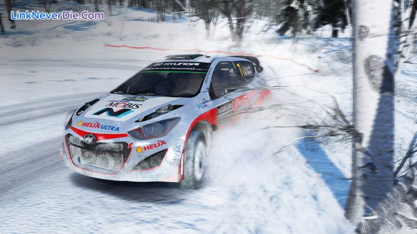 Hình ảnh trong game WRC 5 FIA World Rally Championship (screenshot)