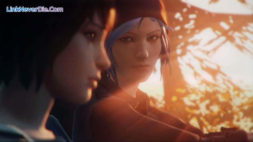 Hình ảnh trong game Life is Strange (screenshot)