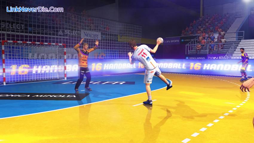 Hình ảnh trong game Handball 16 (screenshot)