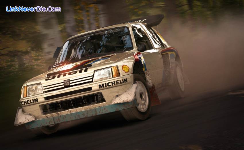 Hình ảnh trong game DiRT Rally (screenshot)