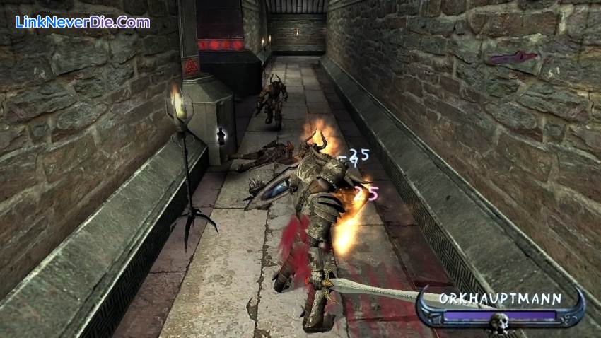 Hình ảnh trong game Enclave (screenshot)