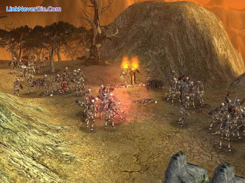 Hình ảnh trong game SpellForce - Platinum Edition (screenshot)