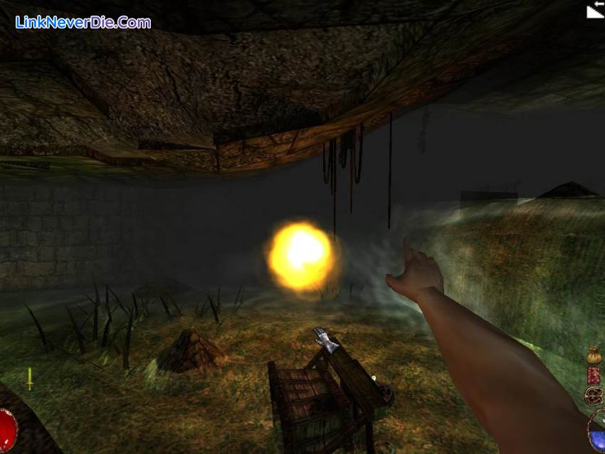 Hình ảnh trong game Arx Fatalis (screenshot)