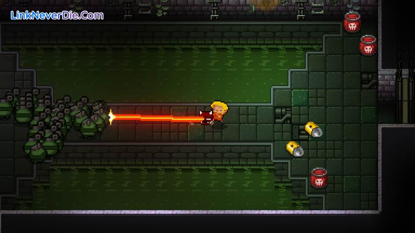 Hình ảnh trong game Enter the Gungeon Collector’s Edition (screenshot)