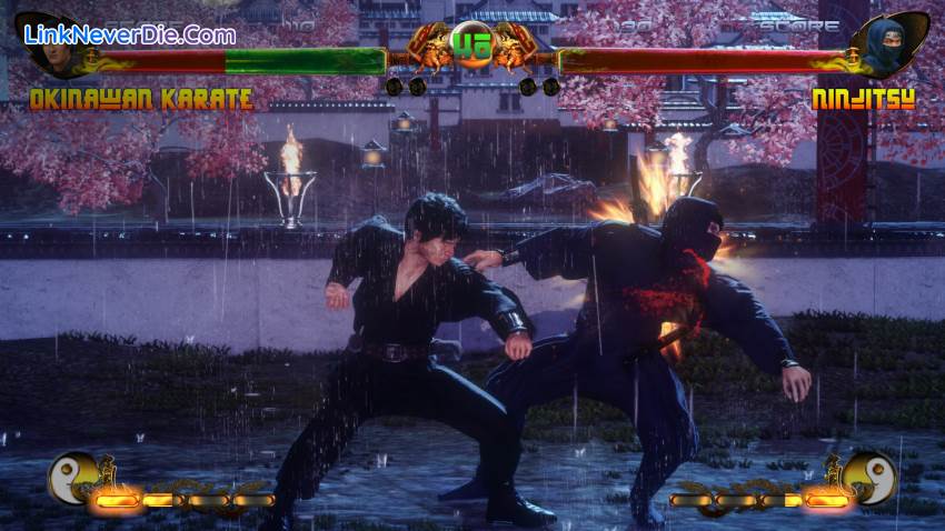 Hình ảnh trong game Shaolin vs Wutang (screenshot)