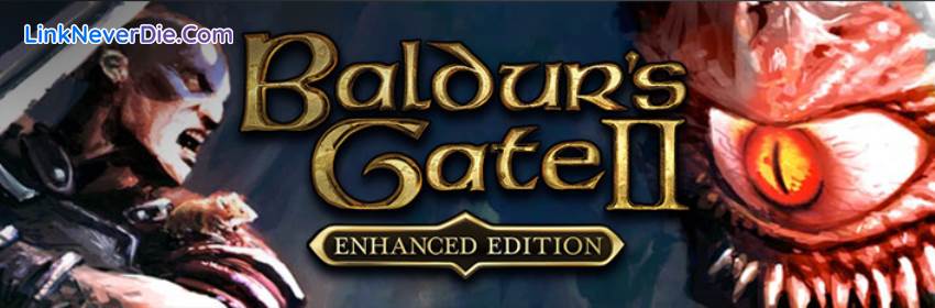 Hình ảnh trong game Baldur's Gate 2: Enhanced Edition (screenshot)