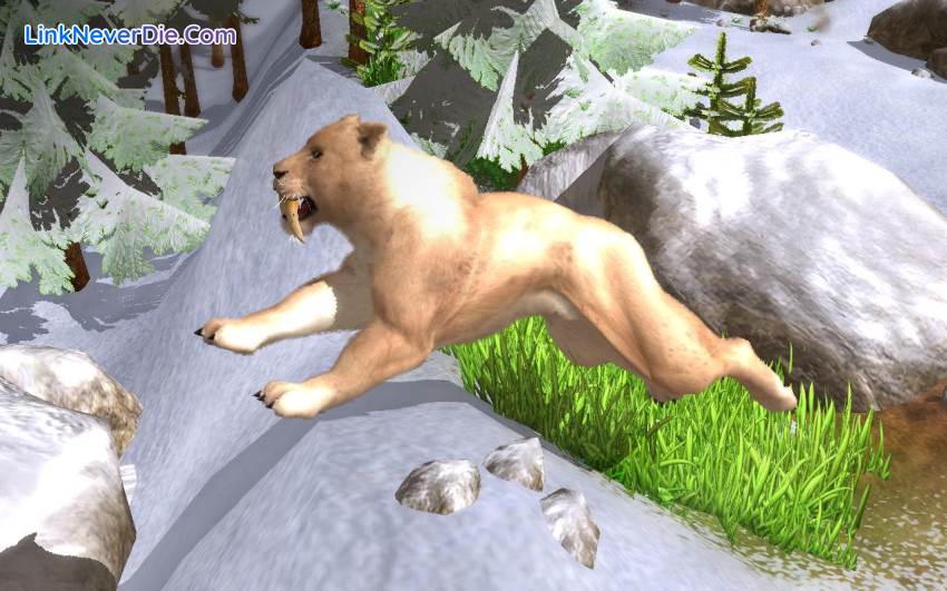 Hình ảnh trong game Wildlife Park Collection (screenshot)