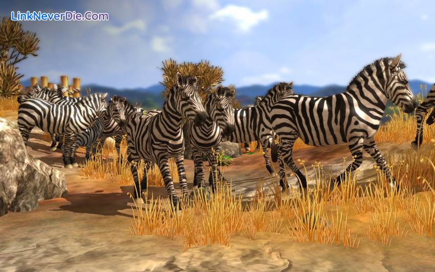 Hình ảnh trong game Wildlife Park Collection (screenshot)