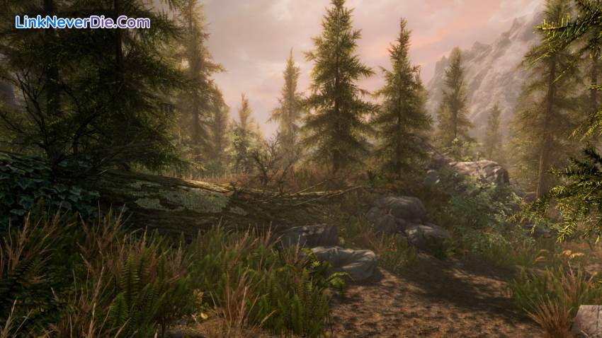 Hình ảnh trong game The Elder Scrolls V: Skyrim Special Edition (screenshot)