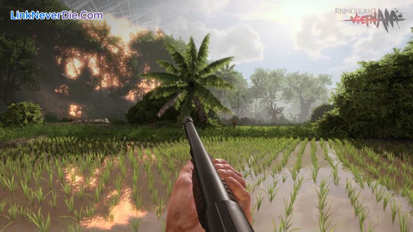 Hình ảnh trong game Rising Storm 2: Vietnam (screenshot)