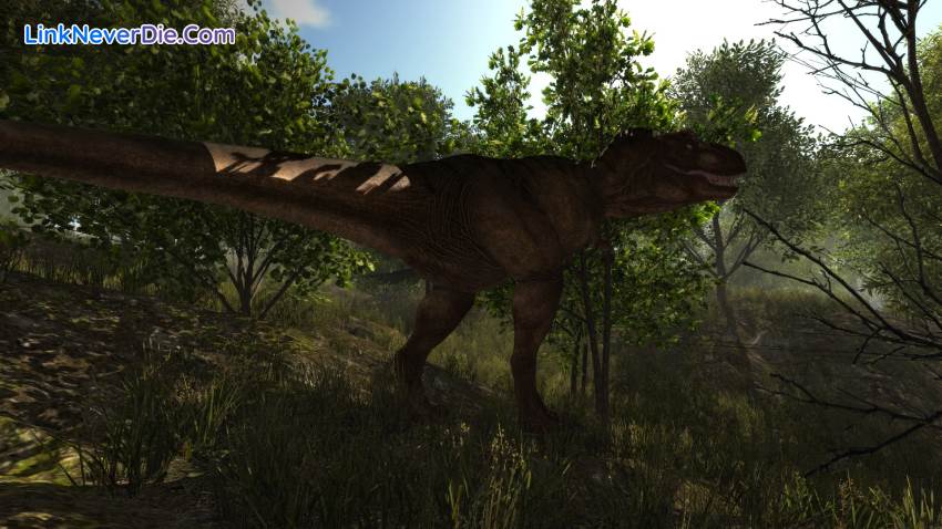 Hình ảnh trong game Dinosaur Forest (screenshot)