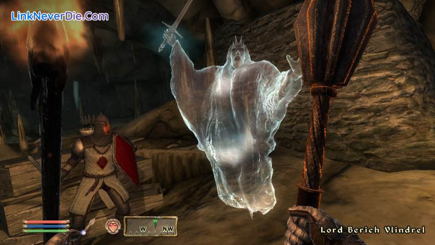 Hình ảnh trong game The Elder Scrolls IV: Oblivion (screenshot)