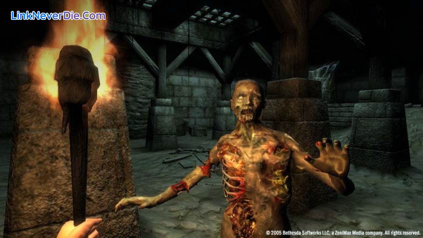 Hình ảnh trong game The Elder Scrolls IV: Oblivion (screenshot)