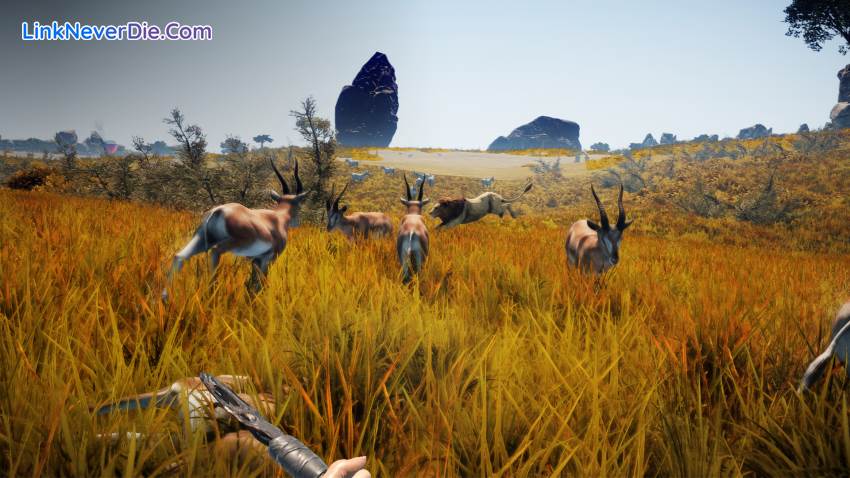 Hình ảnh trong game Animallica (screenshot)