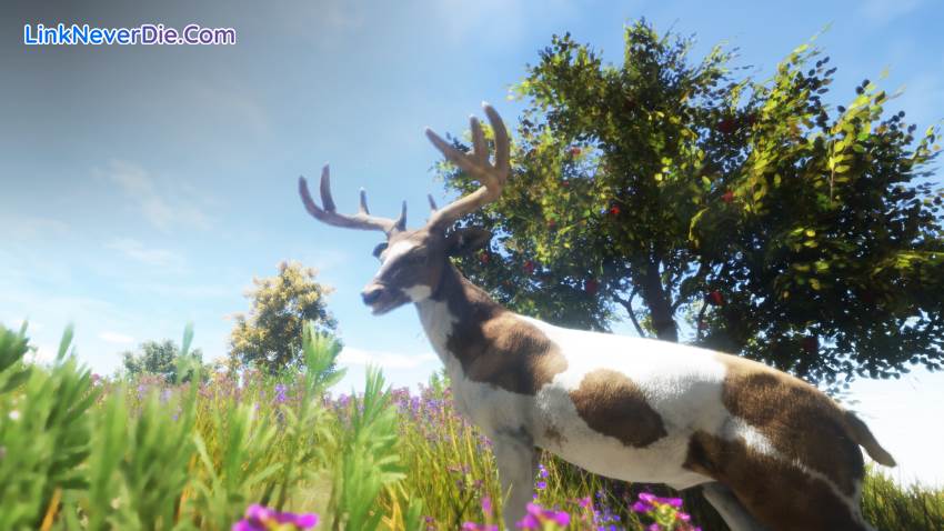 Hình ảnh trong game Animallica (screenshot)