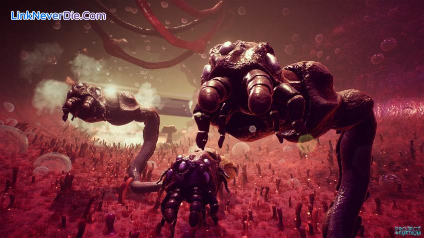 Hình ảnh trong game Project Remedium (screenshot) Hình ảnh trong game Project Remedium (screenshot)