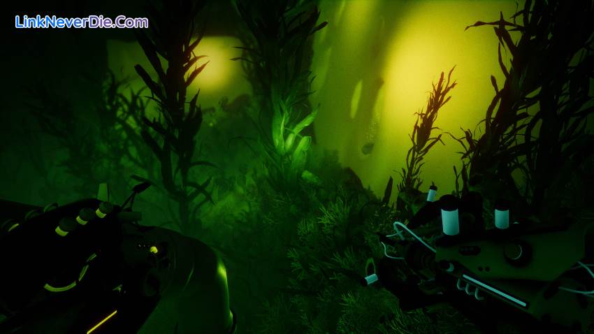 Hình ảnh trong game Project Remedium (screenshot) Hình ảnh trong game Project Remedium (screenshot)
