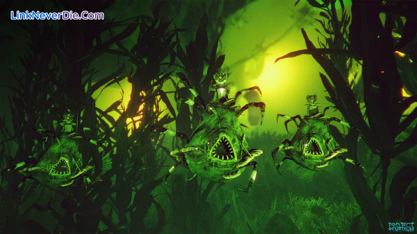 Hình ảnh trong game Project Remedium (screenshot) Hình ảnh trong game Project Remedium (screenshot)