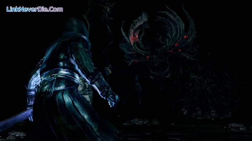 Hình ảnh trong game Dark Souls: Prepare to Die Edition (screenshot)