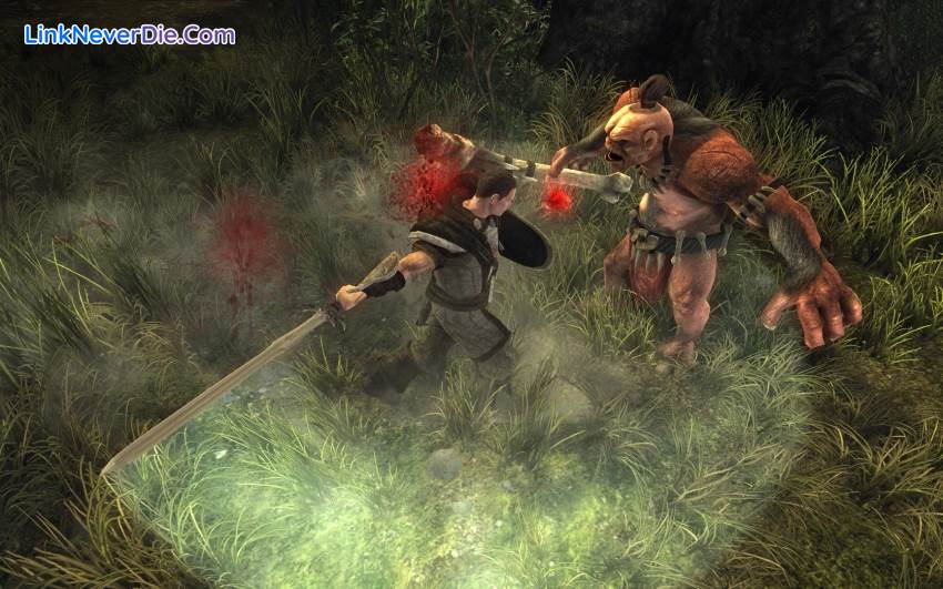 Hình ảnh trong game Risen (screenshot)