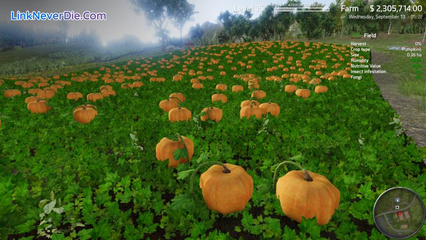 Hình ảnh trong game Professional Farmer: American Dream (screenshot) Hình ảnh trong game Professional Farmer: American Dream (screenshot)