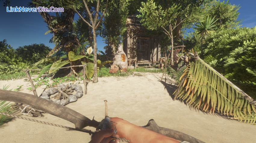 Hình ảnh trong game Stranded Deep (screenshot)