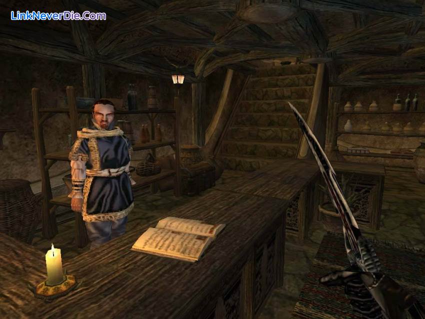 Hình ảnh trong game The Elder Scrolls 3 Morrowind Game Of Year (screenshot)